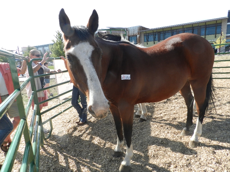 Fresh Check Day in Durango, CO